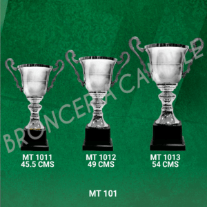 COPA IMPORTADA MT 101 Desde 45.5cms Hasta 54cms