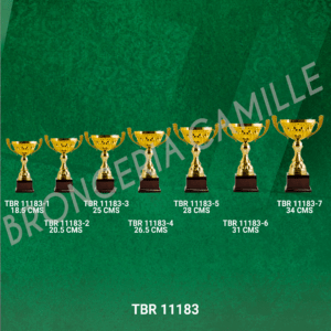 COPA IMPORTADA TBR 11183 Desde 18.5cms Hasta 34cms