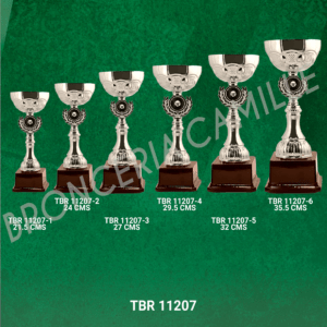 COPA IMPORTADA TBR 11207 Desde 21.5cms Hasta 35.5cms