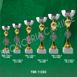 COPA IMPORTADA TBR 11283 Desde 27cms Hasta 42.5cms