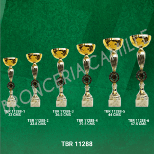 Copa Importada TBR 11288 Desde 32cms Hasta 47.5cms