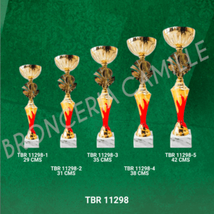 Copa importada TBR 11298 Desde 29cms Hasta 42cms