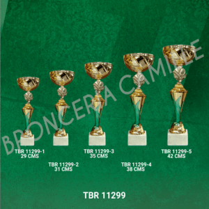 Copa importada TBR 11299 Desde 29cms Hasta 42cms