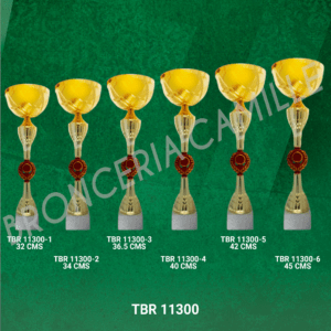 Copa importada TBR 11300 Desde 32cms Hasta 45cms
