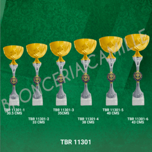 Copa importada TBR 11301 Desde 32cms Hasta 45cms