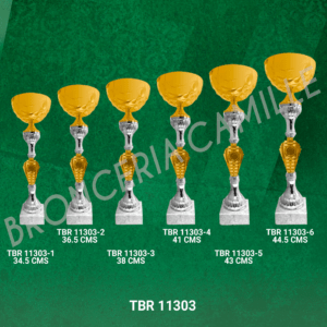 COPA IMPORTADA TBR 11303