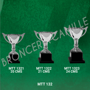 COPA IMPORTADA MTT 132  Desde 20cms Hasta 24cms