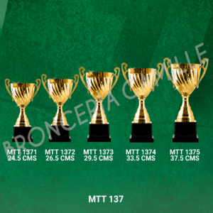 COPA IMPORTADA MTT 137  Desde 24.5cms Hasta 37.5cms