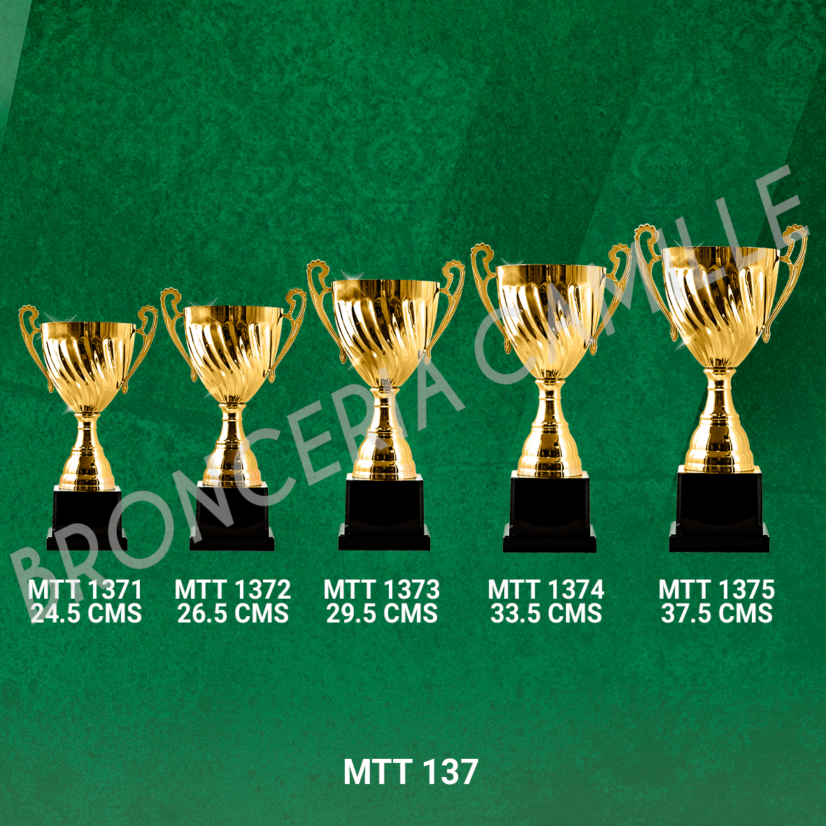 COPA IMPORTADA MTT 137 Desde 24.5cms Hasta 37.5cms