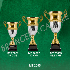 COPA IMPORTADA MT 2005 Desde 37cms Hasta 46.5cms