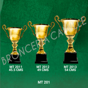 COPA IMPORTADA MT 201 Desde 44.5cms Hasta 54cms