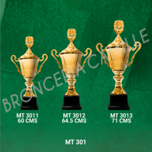 COPA IMPORTADA MT 301 Desde 60cms Hasta 71cms