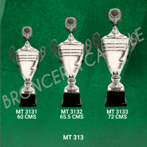 COPA IMPORTADA MT 313 Desde 60cms Hasta 72cms