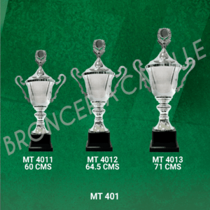 COPA IMPORTADA MT 401 Desde 60cms Hasta 71cms