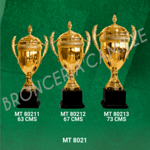 COPA IMPORTADA MT 8021 Desde 63cms Hasta 73cms