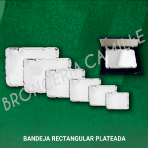 BANDEJA RECTANGULAR PLATEADA CON ESTUCHE