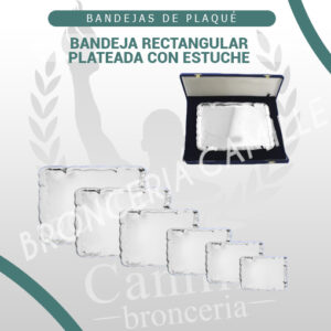 BANDEJA RECTANGULAR PLATEADA CON ESTUCHE