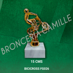 BICICROSS FG026