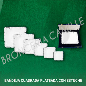 Bandeja cuadrada plateada con estuche