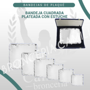 Bandeja cuadrada plateada con estuche