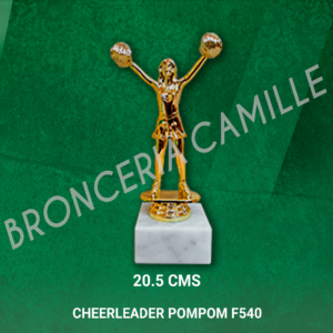 CHEERLEADER POMPOM F540