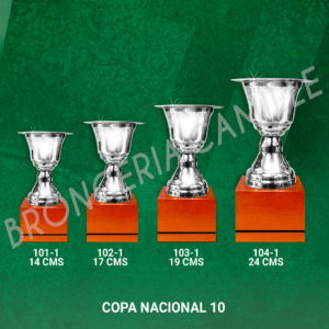 COPA NACIONAL 10 Desde 14cms Hasta 24cms