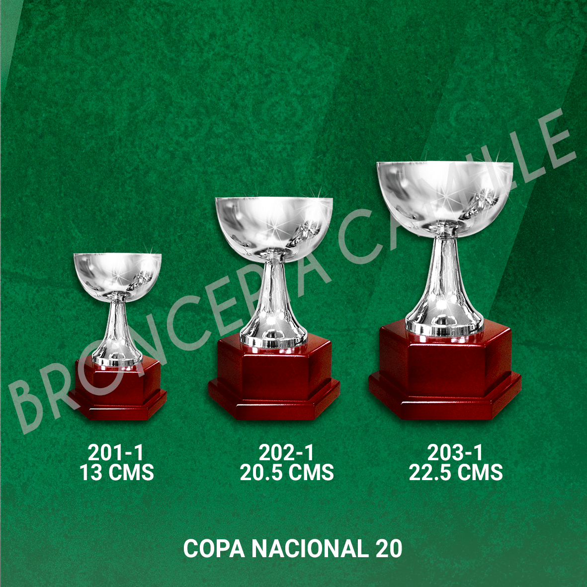 COPA NACIONAL 20 Desde 13cms Hasta 22,5cms