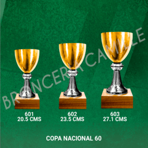 COPA NACIONAL 60 Desde 20,5cms Hasta 27,1cms