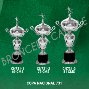 COPA NACIONAL CN731 Desde 69cms Hasta 81cms