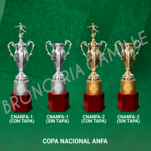 COPA NACIONAL CNANFA-1 CNANFA-2