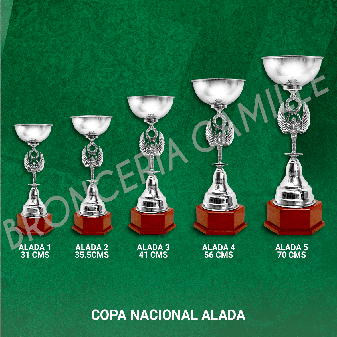 COPA NACIONAL ALADADesde 31cms Hasta 70cms