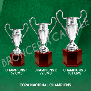 COPA NACIONAL CHAMPIONS Desde 57cms Hasta 101cms