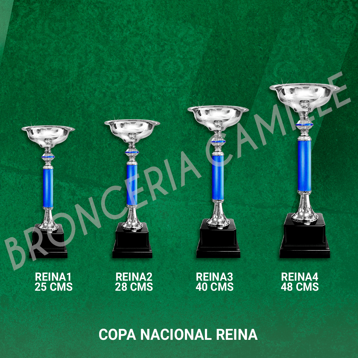 COPA NACIONAL REINA Desde 25cms Hasta 48cms