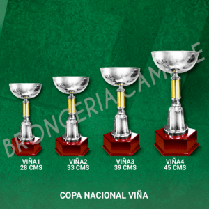 COPA NACIONAL TUBO Desde 24,5cms Hasta 39cms