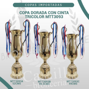 COPA DORADA CON CINTA TRICOLOR MTT3093<br> Desde 49cms Hasta 52cms