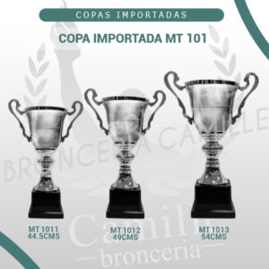 COPA IMPORTADA MT 101 <br>Desde 45.5cms Hasta 54cms