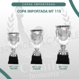 COPA IMPORTADA MT 115 <br>Desde 46cms Hasta 53cms