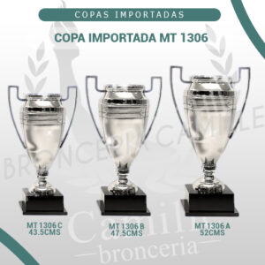 COPA IMPORTADA MT 1306 <br>Desde 43.5cms Hasta 52cms