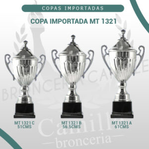 COPA IMPORTADA MT 1321 <br>Desde 51cms Hasta 61cms
