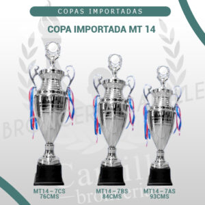COPA IMPORTADA MT 14 <br>Desde 76cms Hasta 93cms
