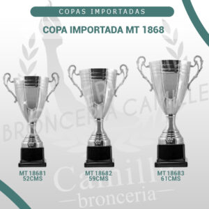 COPA IMPORTADA MT 1868 <br>Desde 52cms Hasta 61cms
