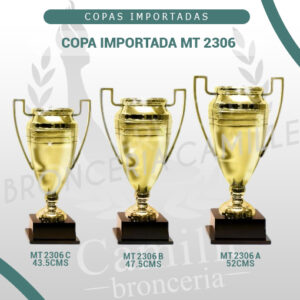 COPA IMPORTADA MT 2306 <br>Desde 43.5cms Hasta 52cms