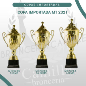 COPA IMPORTADA MT 2321 <br>Desde 51cms Hasta 61cms
