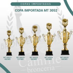 COPA IMPORTADA MT 3052 <br>Desde 46cms Hasta 68cms