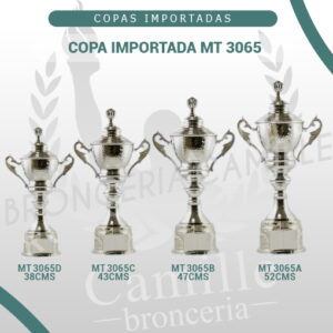 COPA IMPORTADA MT 3065 <br>Desde 38cms Hasta 52cms