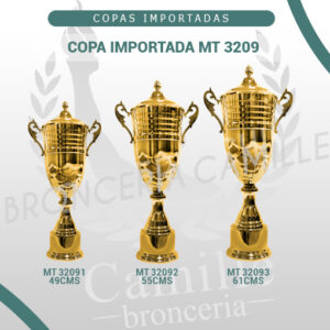COPA IMPORTADA MT 3209 <br>Desde 49cms Hasta 61cms