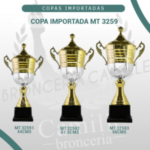 COPA IMPORTADA MT 3259 <br>Desde 44cms Hasta 56cms
