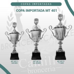 COPA IMPORTADA MT 401 <br>Desde 60cms Hasta 71cms