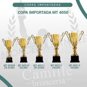 COPA IMPORTADA MT 4050 <br>Desde 29.5cms Hasta 50cms