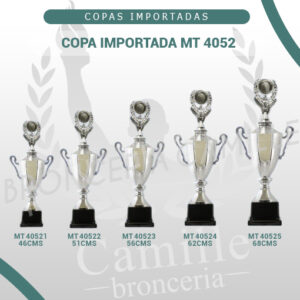 COPA IMPORTADA MT 4052 Desde 46cms Hasta 68cms